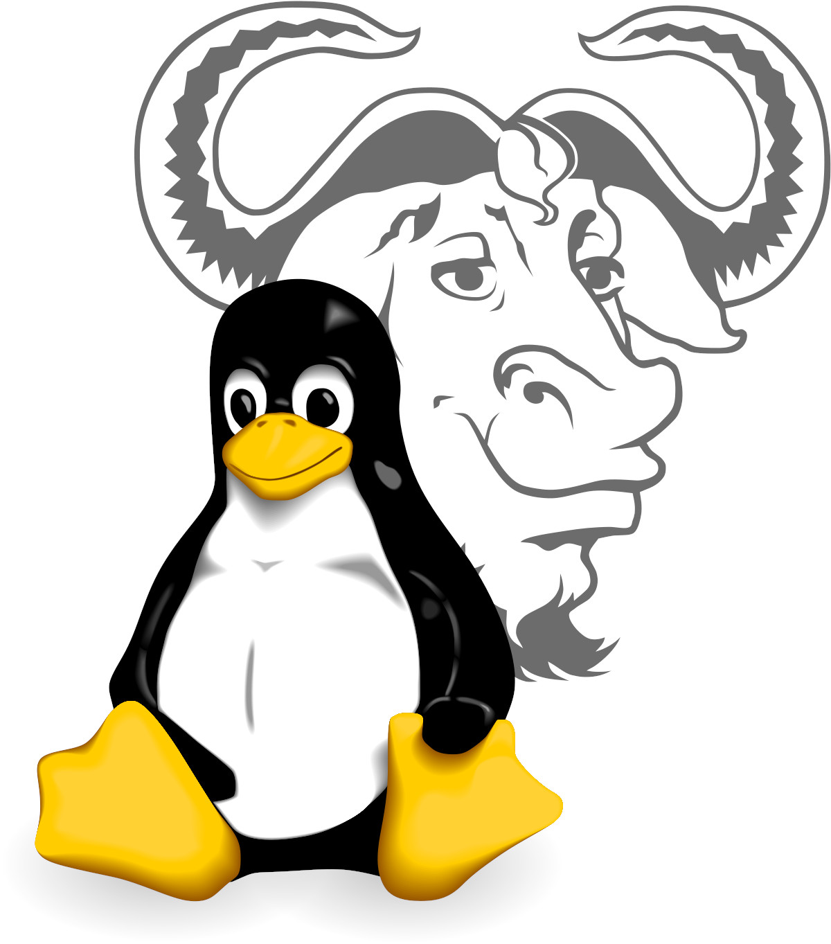 GNU / Linux